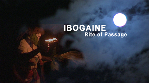 Ibogaine_Rite_of_Passage.jpg