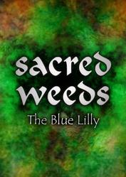 Sacred_Weeds_lilly.jpg