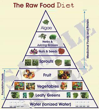 raw_food_diet.jpg