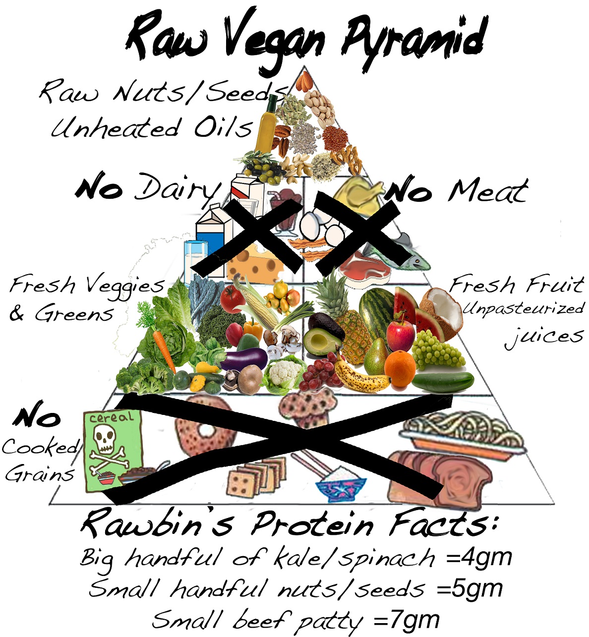 rawfoodpyramid.jpg