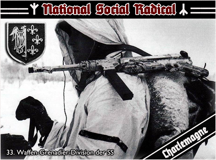 Gregory_Bouysse_-_Waffen-SS_Francais_-_Volume_1.png