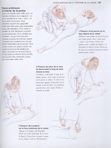 http://www.the-savoisien.com/blog/public/img5/shiatsu.png