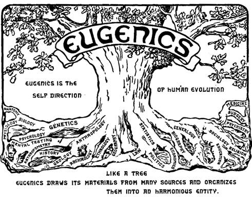 Tree_of_Eugenics.png