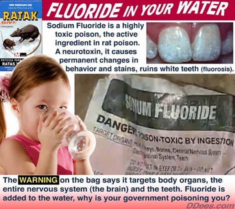 http://www.the-savoisien.com/blog/public/img8/fluoride_water.jpg