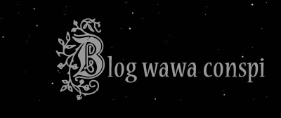 Wawa Conspi Blog