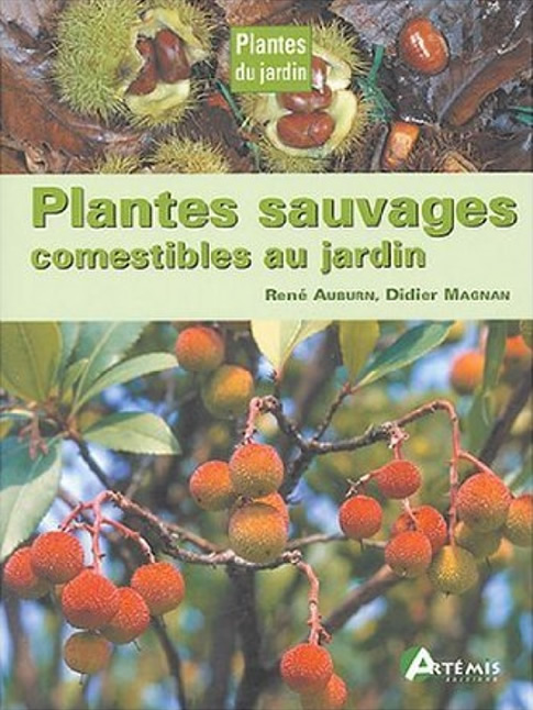Plantes_sauvages_comestibles_au_jardin.jpg