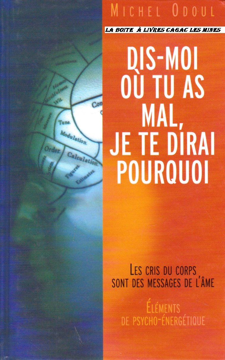 Michel Odoul Dismoi où tu as mal, je te dirai pourquoi The Savoisien