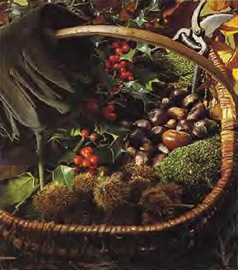 Baies_et_petits_fruits_du_bord_des_chemins.jpg