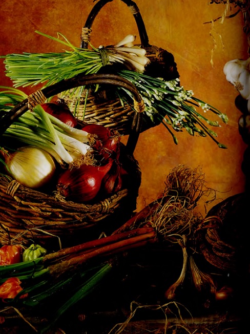 Legumes_Fleurent_Scotto.jpg