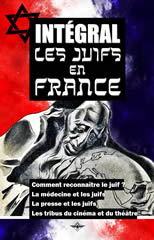 Les_nouvelles_editions_francaise_-_Les_juifs_en_France_Historique_et_quatre_volumes.jpg