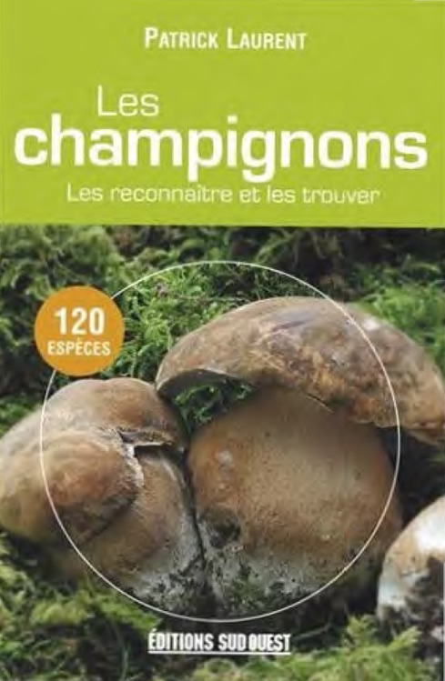 Patrick_Laurent_Les_champignons.jpg