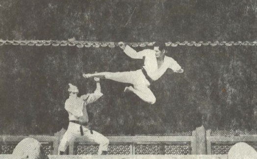 Army_Taekwon-Do_manual_1966.jpg