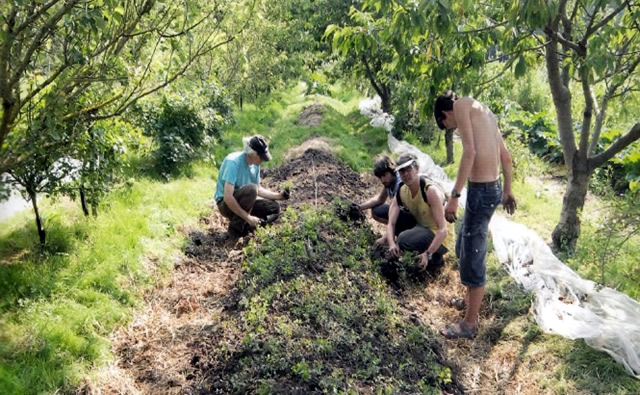 Lagueyrie_Annie_Permaculture.jpg